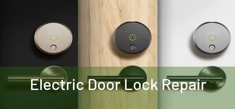 Electric Door Lock Repair