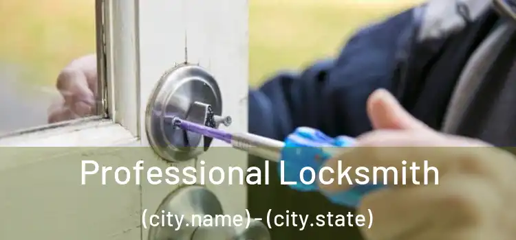  Professional Locksmith (city.name) - (city.state)
